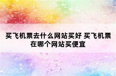 买飞机票去什么网站买好 买飞机票在哪个网站买便宜